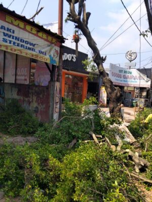 galeri jasa tebang pohon jabodetabek (2)